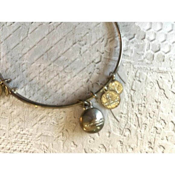 Alex and Ani Saphire Birthstone Bracelet Silver Tone - Picture 9 of 9